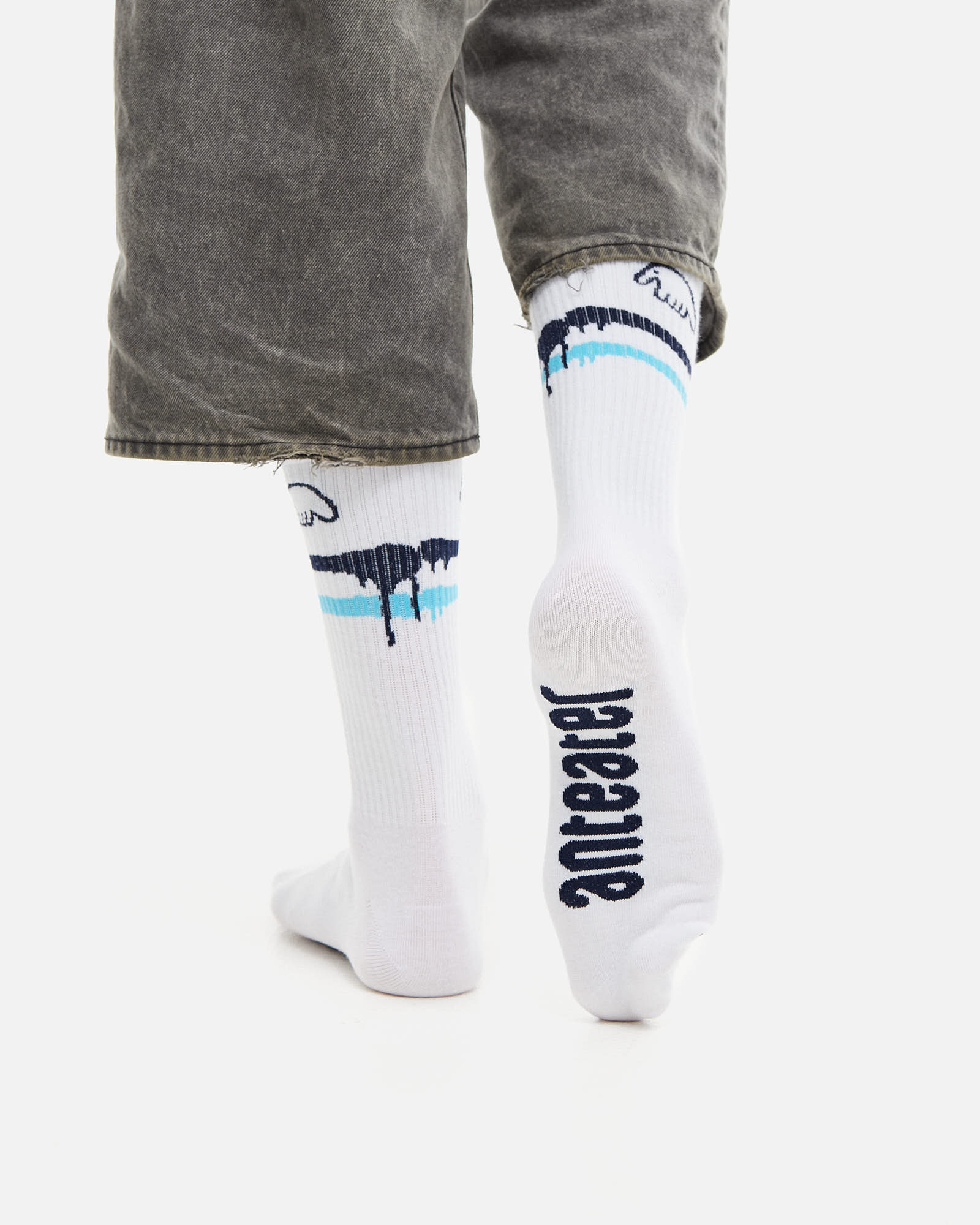 НОСКИ ANTEATER SOCKS от магазина Streetlab74