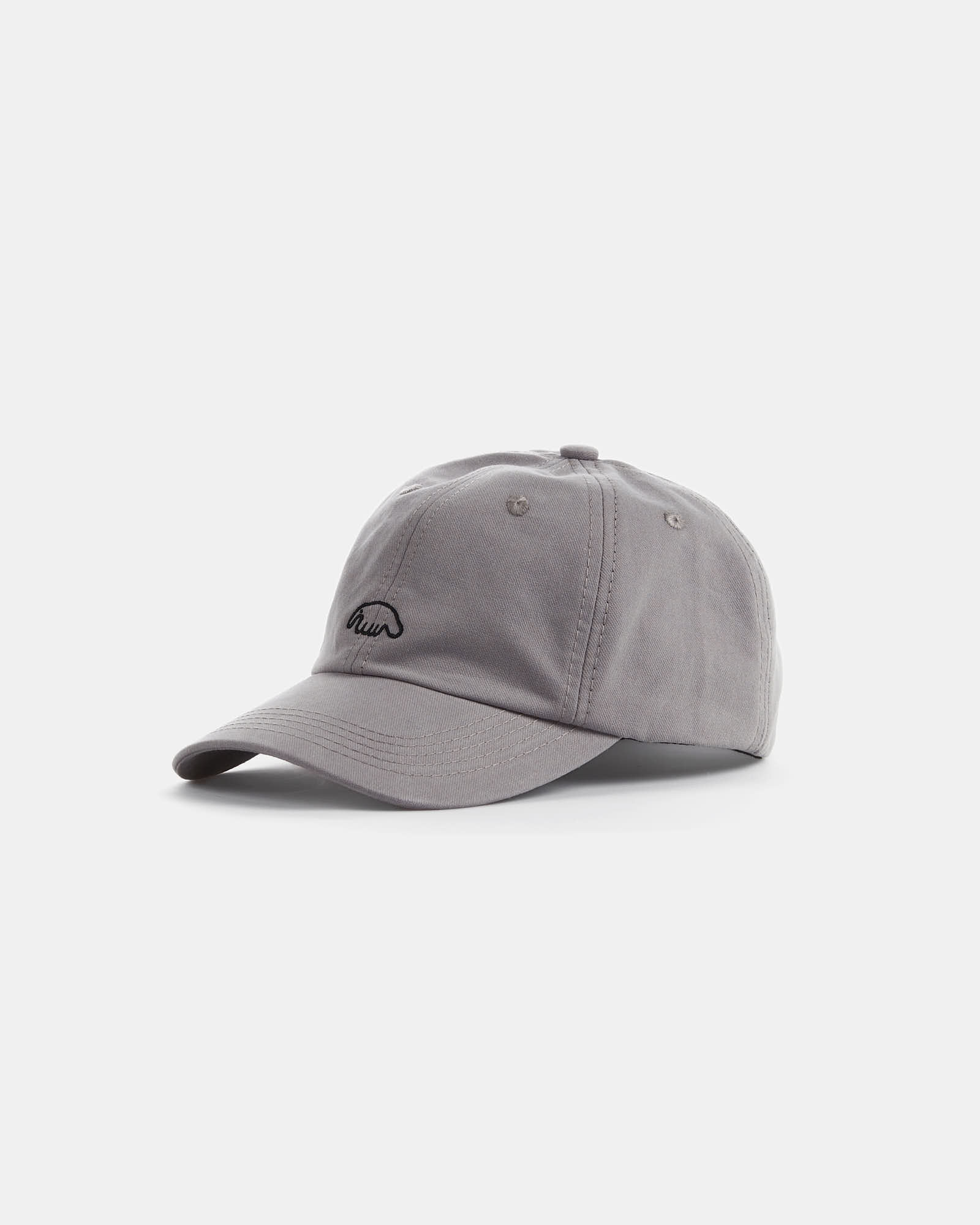 Кепка Anteater 6Panel от магазина Streetlab74