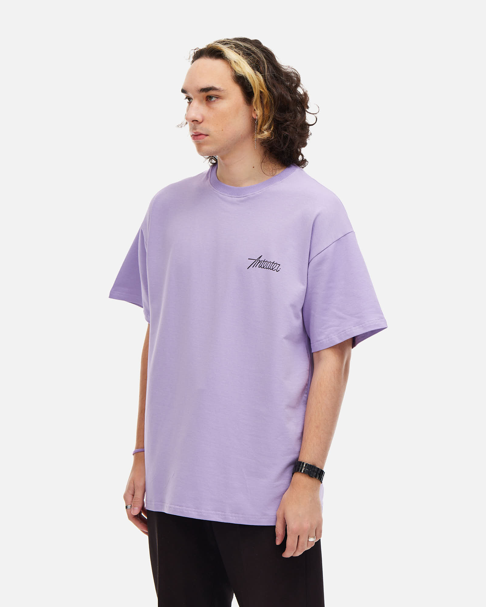 Футболка Anteater Phat Tee от магазина Streetlab74