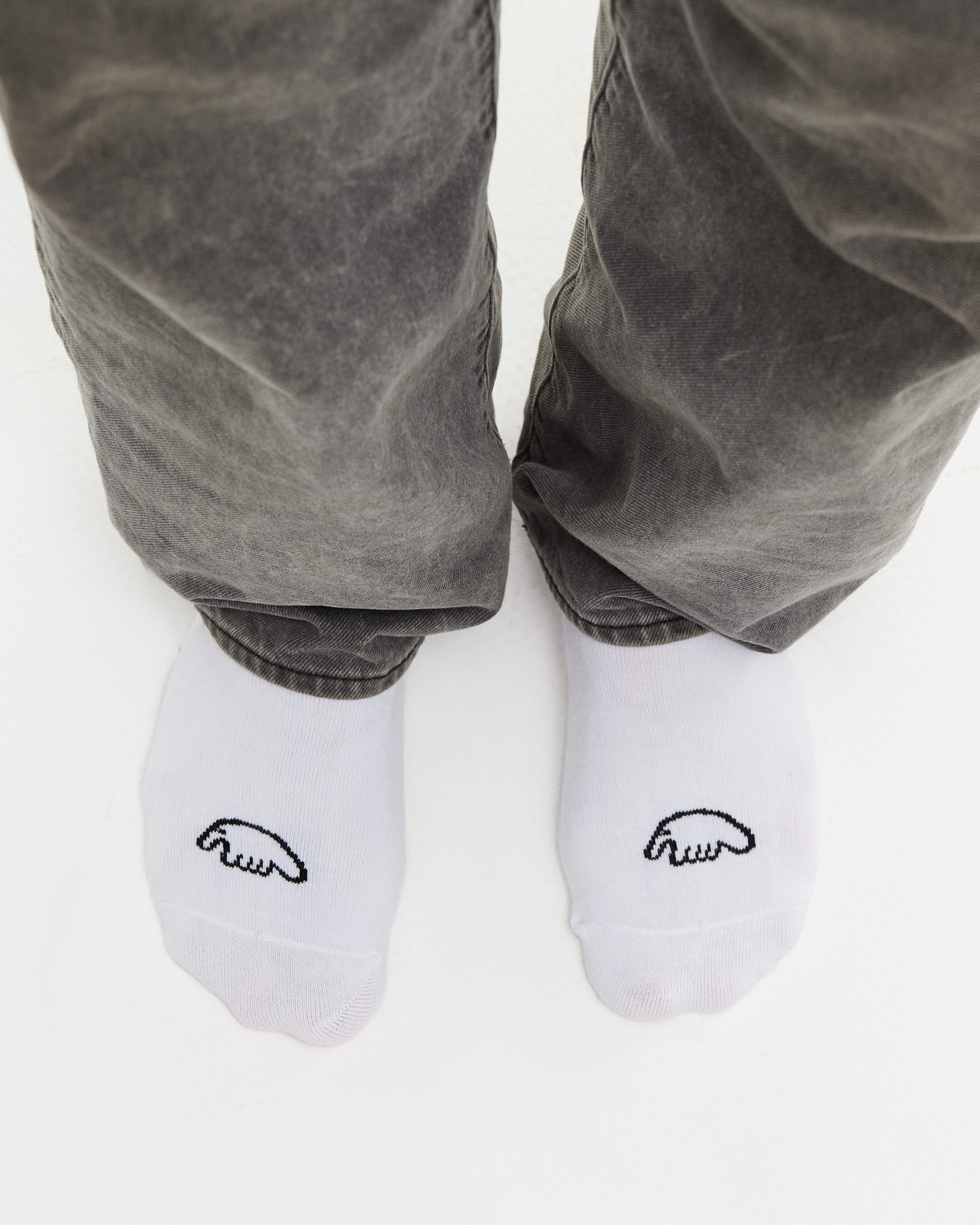 НОСКИ ANTEATER SOCKS от магазина Streetlab74