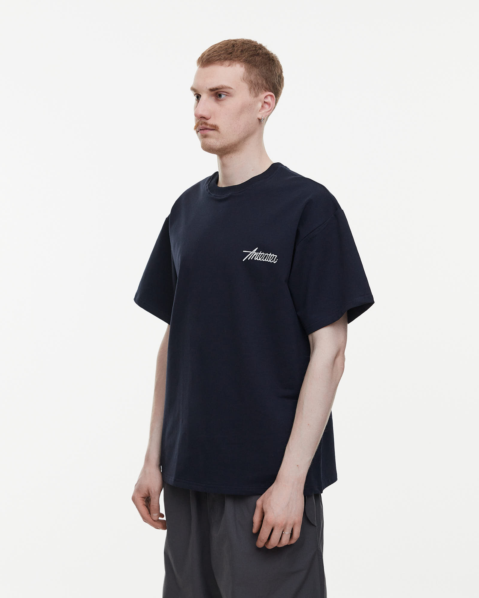 Футболка Anteater Phat Tee от магазина Streetlab74