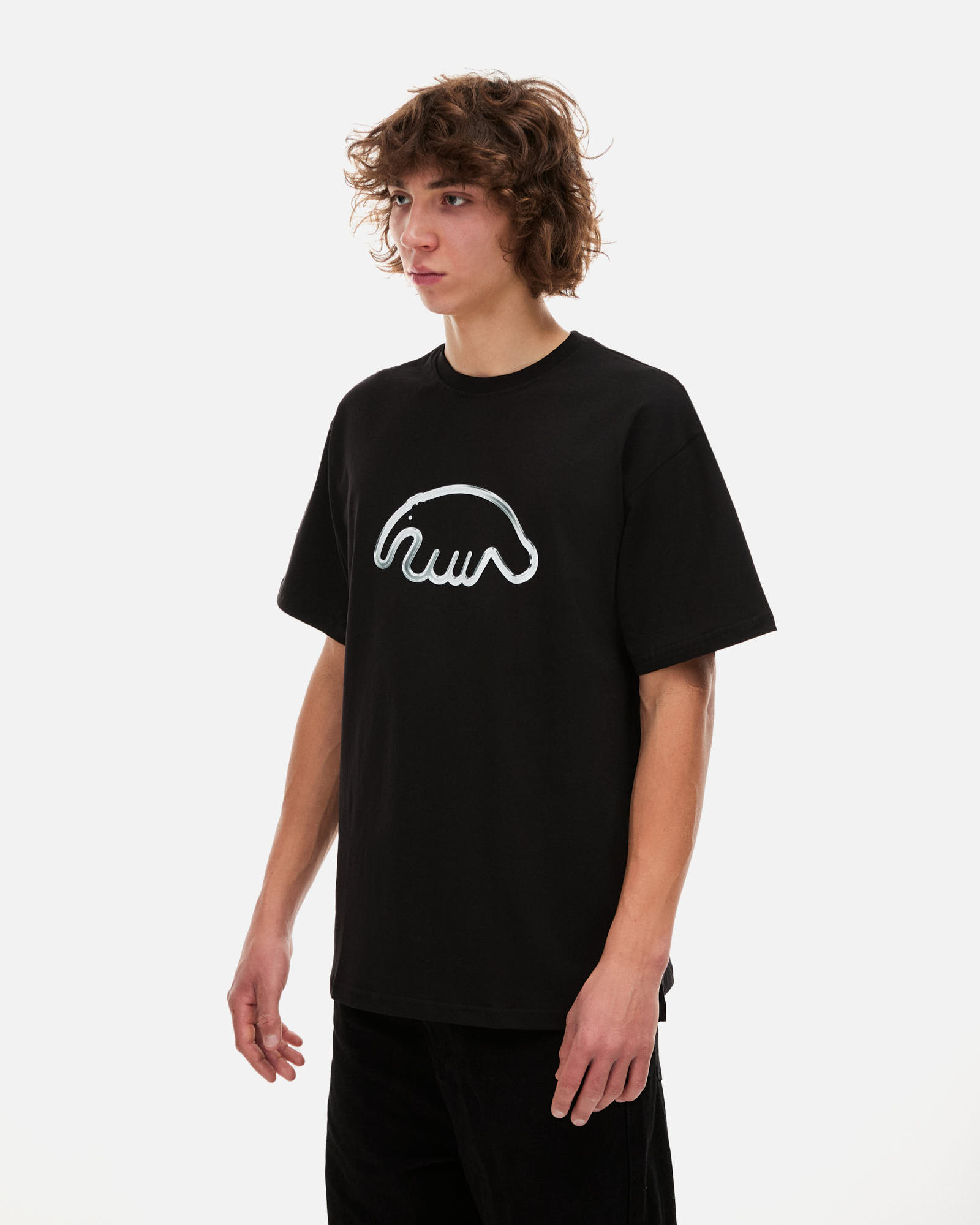 Футболка Anteater Tee от магазина Streetlab74