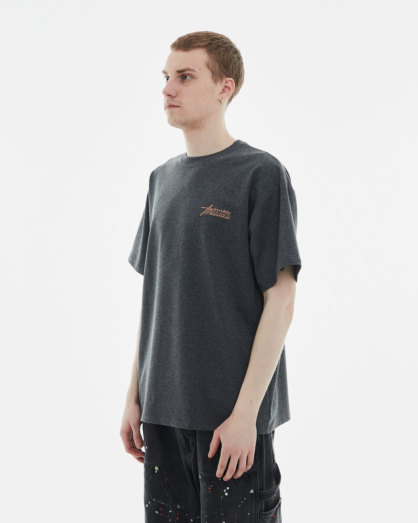 Футболка Anteater Phat Tee от магазина Streetlab74