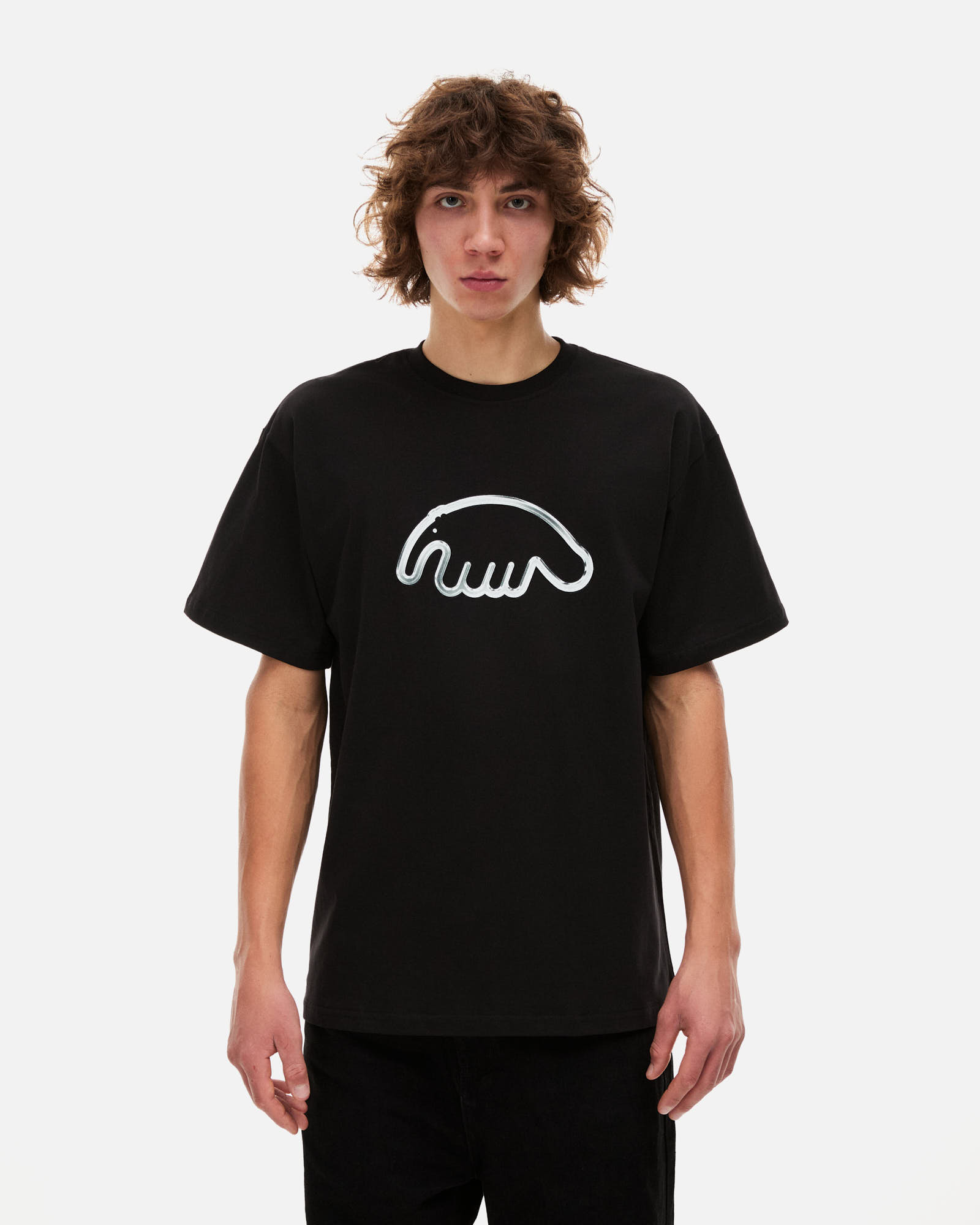 Футболка Anteater Tee от магазина Streetlab74